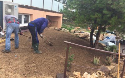 PLANTACIÓN DE TEPES EN NAVACERRADA