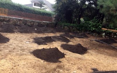 PLANTACIÓN DE TEPES EN NAVACERRADA