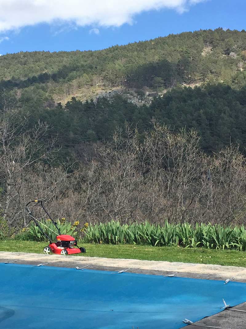 mantenimiento-de-jardin-y-piscina