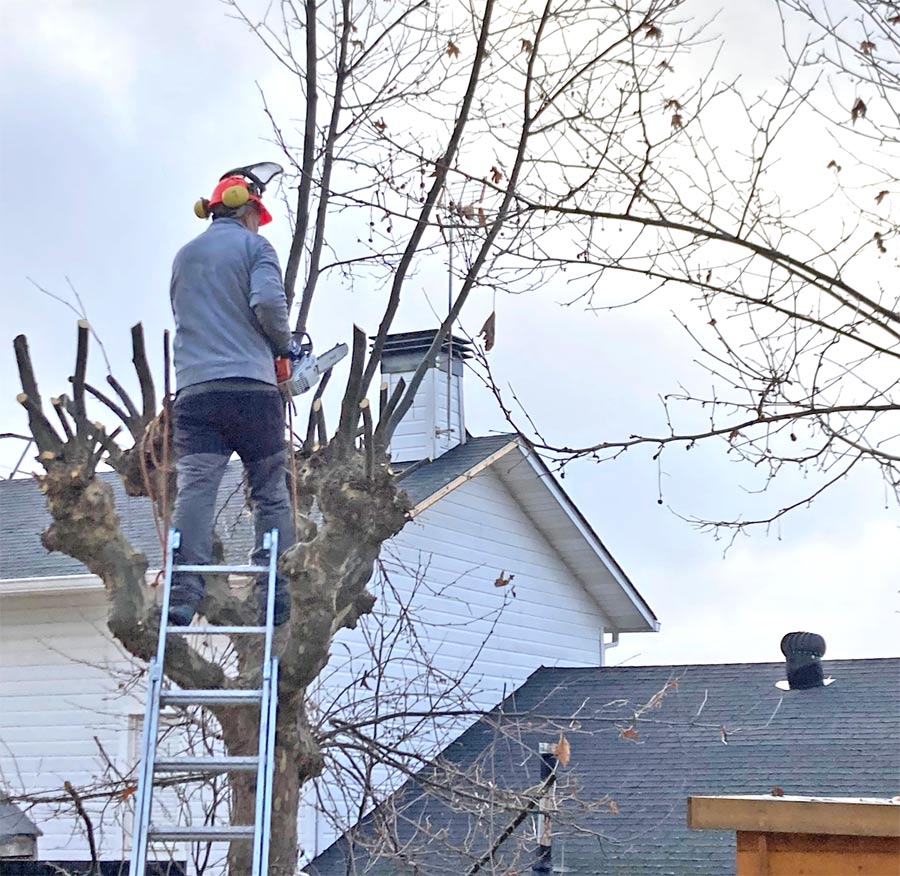 sobre-nosotros-el-jardin-de-la-sierra