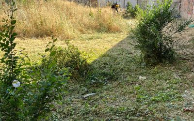 DESBROCE DE PARCELAS