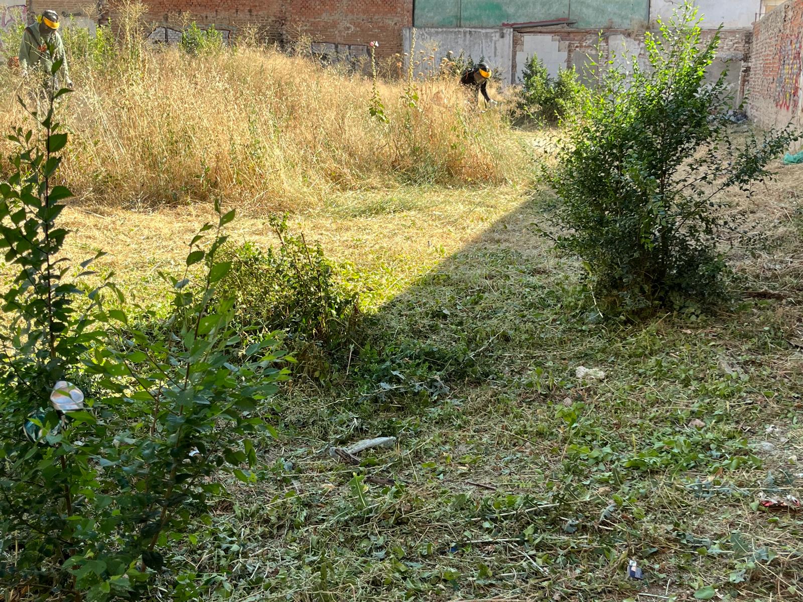 DESBROCE DE PARCELAS