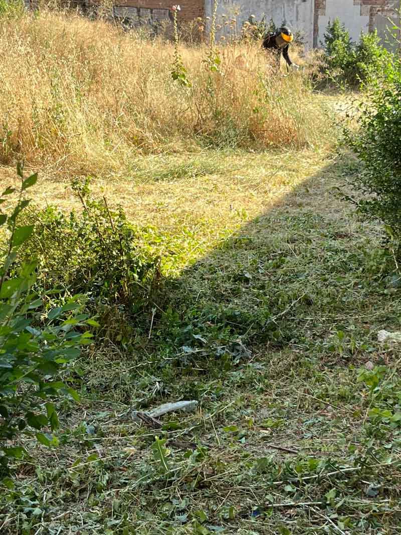 Desbroce de Parcelas y Limpieza Forestal realizados por El Jardín de la Sierra