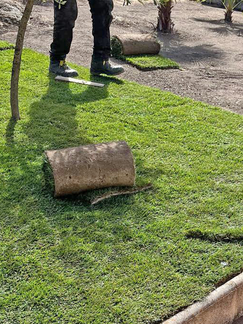 INSTALACIÓN DE TEPES EN JARDIN