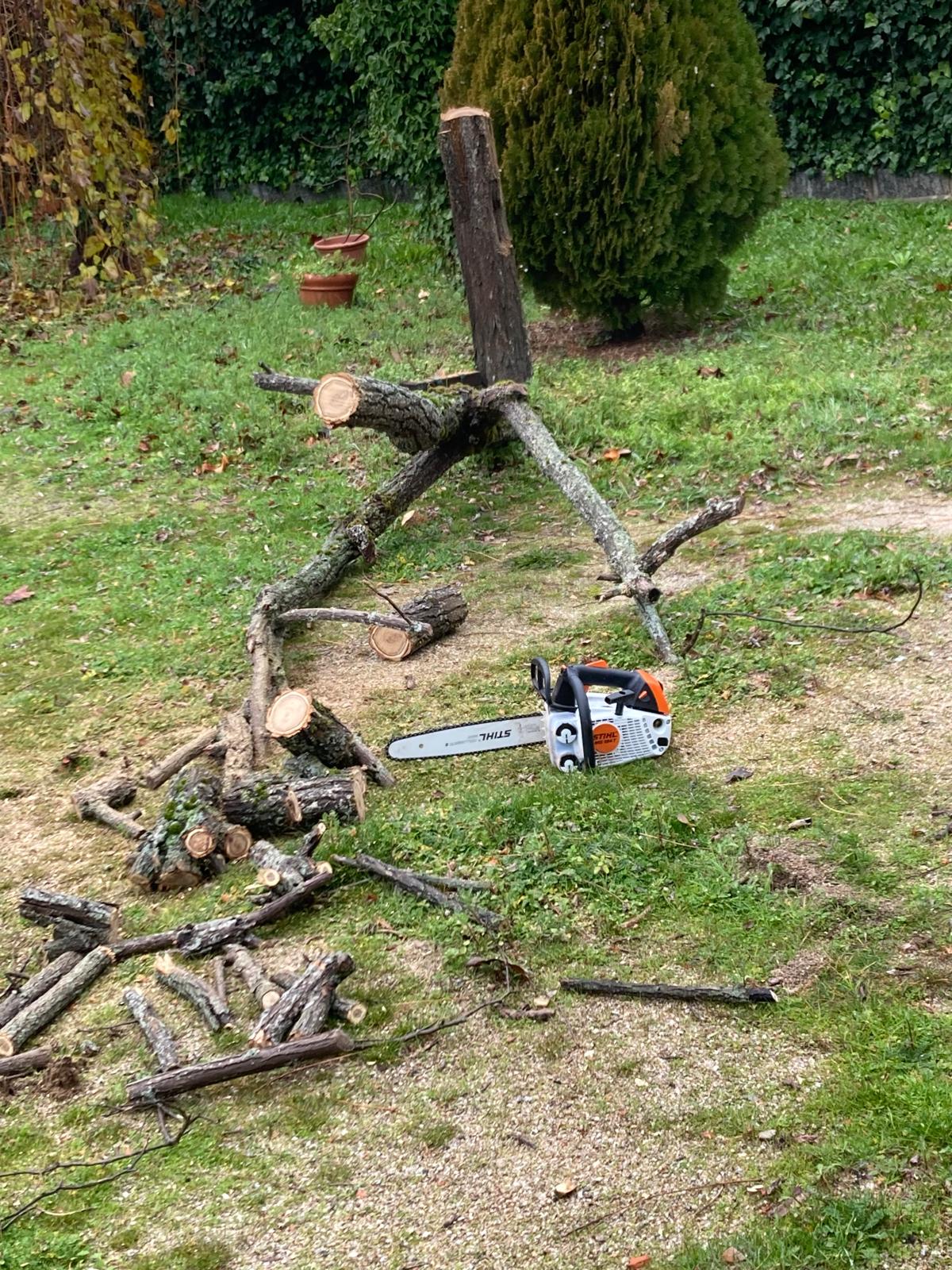 PODA Y TALA DE ARBOLADO EN LA COMUNIDAD MADRID