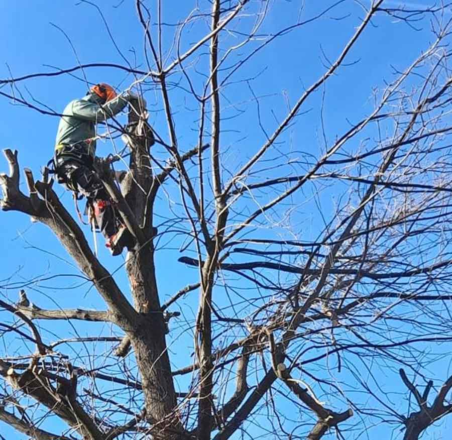 sobre nosotros - El Jardín de la Sierra
